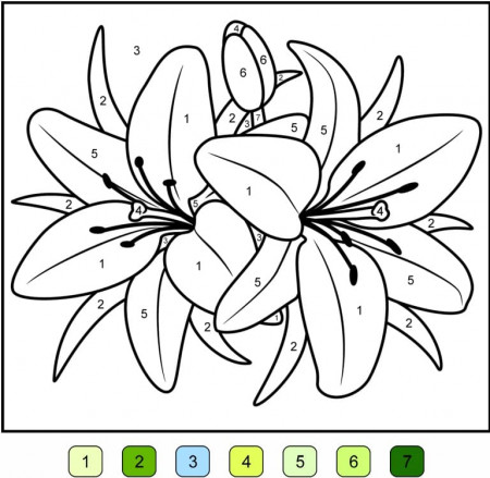 Lily Flower Color by Number Coloring Page - Free Printable Coloring Pages  for Kids