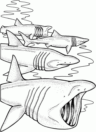 Coloring Sheet Free Shark Pages Megalodon To Print Tremendous For Kids  Disney Unicorn – Approachingtheelephant