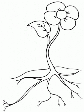 13 Pics of Coloring Page Plant With Soil - Growing Plants Coloring ...