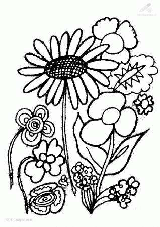 coloring pages plants - High Quality Coloring Pages