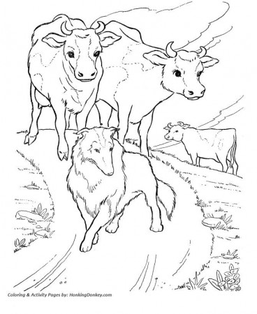 Cow Coloring page | Farm dairy cow | Desenhos para colorir ...