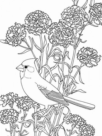 Bird Among Beautiful Flowers Coloring Page: Bird Among Beautiful ...