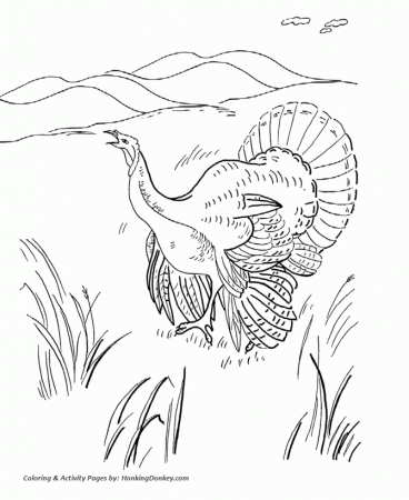 Thanksgiving Coloring Pages - Wild Turkey Thanksgiving Coloring ...