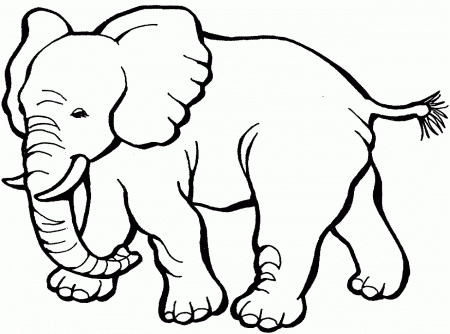 Animal Coloring Pages | Free Coloring Pages