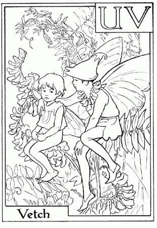 Letter V For Vetch Flower Fairy Coloring Page - Alphabet Coloring ...