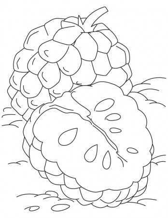 Tropical custard apple coloring pages | Download Free Tropical custard  apple coloring pages for kids | Best Coloring Pages