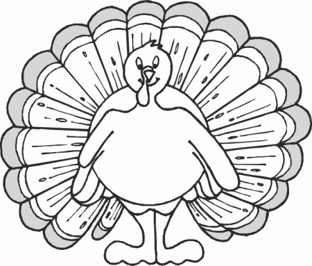 Turkey Feathers Outlines Clipart - Clipart Kid