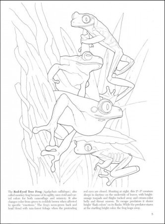 Mimicry and Camouflage in Nature Coloring Book (013588) Details ...