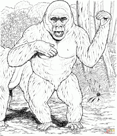 Gorillas coloring pages | Free Coloring Pages