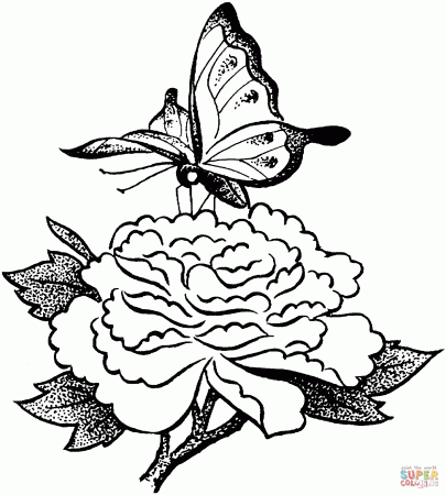 Butterfly On A Flower coloring page | Free Printable Coloring Pages