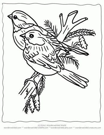 free difficult winter coloring pages. take winter coloring pages ...