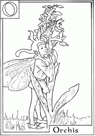Letter O For Orchis Flower Fairy Coloring Page - Alphabet Coloring ...