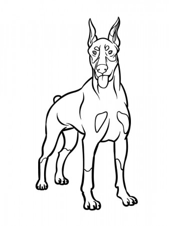 Doberman coloring pages