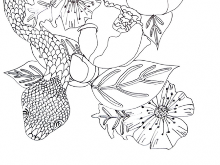 Snake & Flowers Coloring Page Graphic by County Road Coloring · Creative  Fabrica
