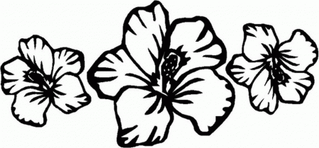 hibiscus-flower-coloring-pages-for-526345 Â« Coloring Pages for ...