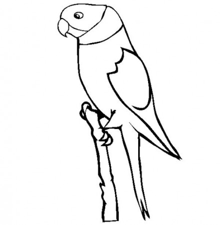 Parakeet Coloring Pages - Best Coloring Pages For Kids