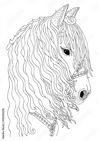 Hand drawn horse head. Sketch for anti-stress adult coloring book in  zen-tangle style. Vector illustration for coloring page. Stock Vector |  Adobe Stock