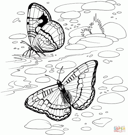 Butterfly On A River coloring page | Free Printable Coloring Pages