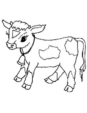 Baby Cow Coloring Page - NetArt