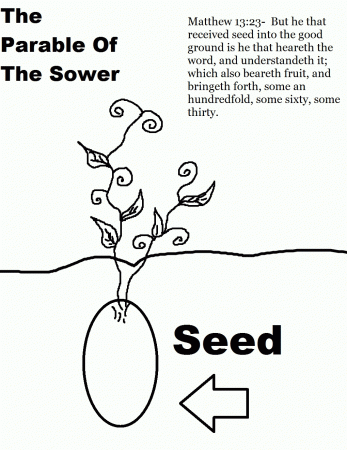 Parable of the Sower – Children's Church