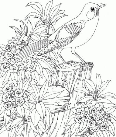 Difficult Coloring Pages For Adults | 99coloring.com