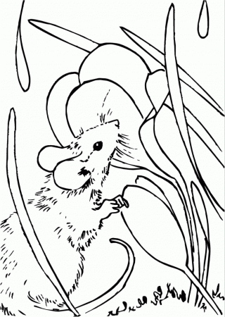 Melody Lea Lamb's Art: Free Mouse Coloring Page