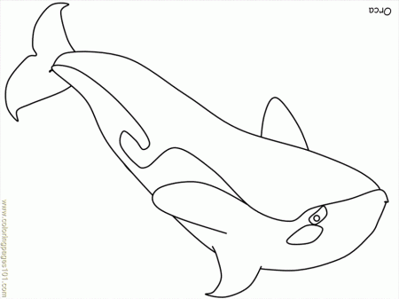 Coloring Pages Whale Fish 01 (Mammals > Whale) - free printable 