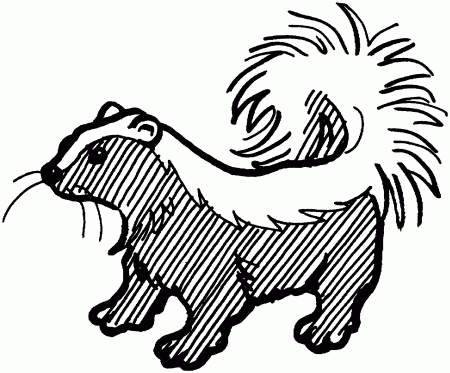 Skunk Coloring Pages - Free Coloring Pages For KidsFree Coloring 