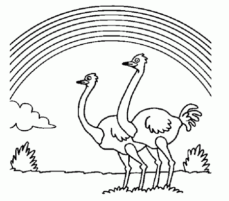 Rainbow and Ostrich Coloring Pages | Coloring