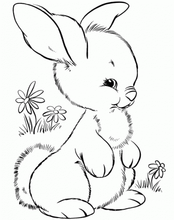Rabbit Who Was Eating A Carrot Coloring Pages - Rabbit Coloring 