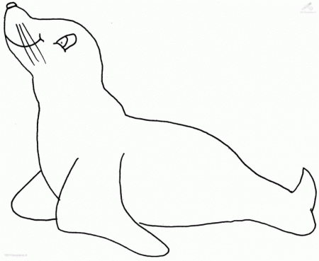 Sea Lions Coloring Pages | Online Coloring Pages