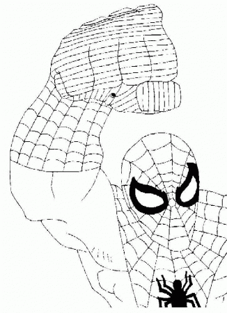 Spider Man Coloring
