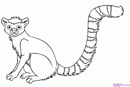 Rainforest Animals Coloring Pages Fantasy Jr Cleopatra Coloring 
