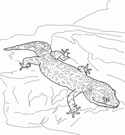 Leopard Gecko Coloring Pages | Online Coloring Pages