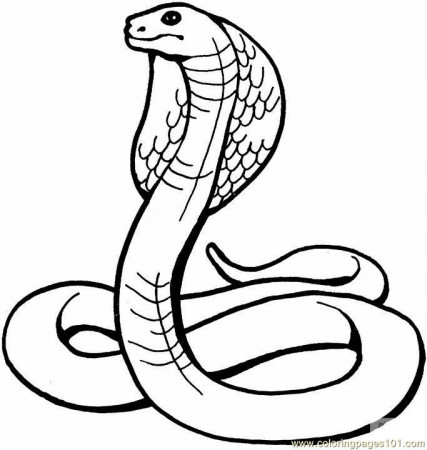Coloring Pages King cobra (Reptile > Snake) - free printable 