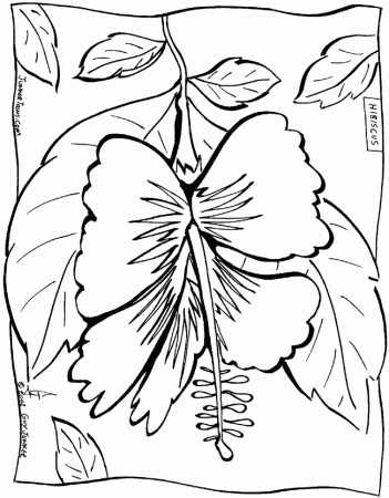 yellow hibiscus Colouring Pages (page 3)