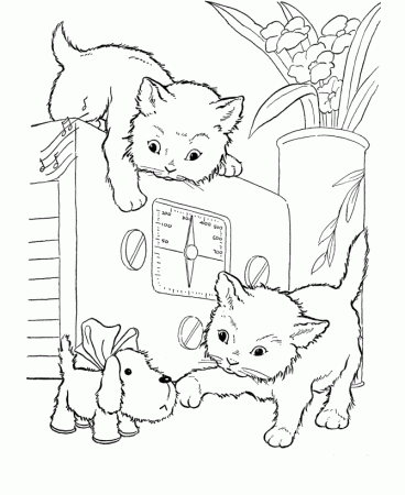 Cats Playing On a Oven Coloring Page | Kids Coloring Page