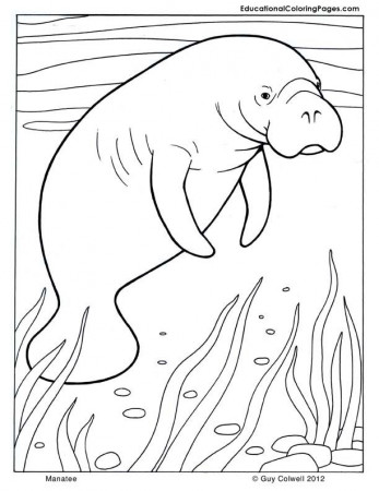 Mammals Coloring | Educational Fun Kids Coloring Pages and 