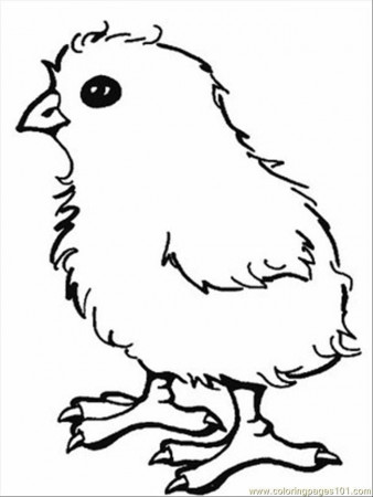 Coloring Pages Chick (Animals > Birds) - free printable coloring 