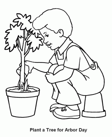 Arbor Day Coloring Pages - Boy watering a tree seedling Coloring 