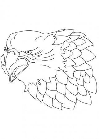 Head of falcon coloring page | Download Free Head of falcon coloring page  for kids | Best Coloring Pages