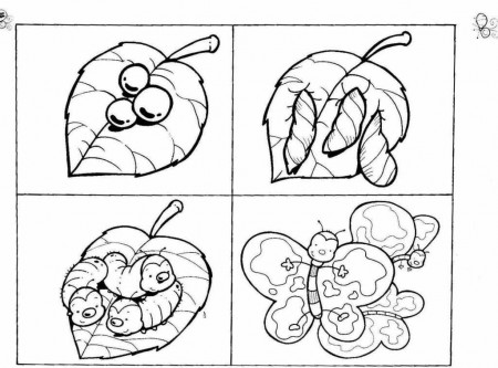 Insect Pictures To Color — New Coloring Pages Collections : New ...