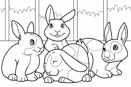 20+ Free Printable Bunny Coloring Pages - EverFreeColoring.com
