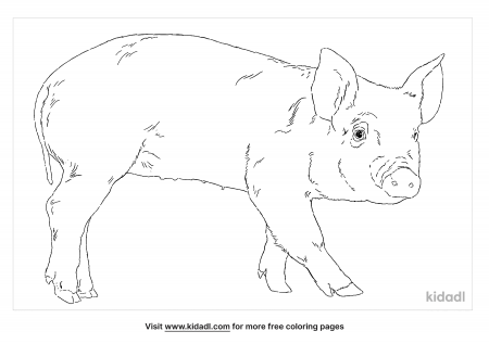 Pigs Coloring Pages | Free Animals Coloring Pages | Kidadl