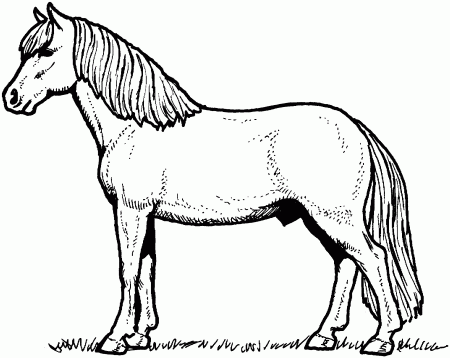Coloring Book : Horse Images For Coloring Free Pages Of English ...