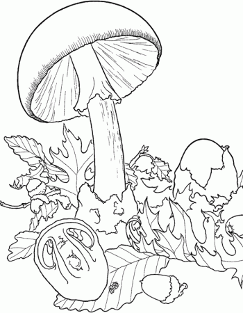 Mushrooms to print - Mushrooms Kids Coloring Pages