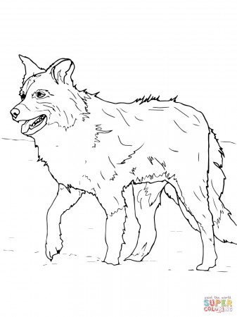 Pomeranian dog coloring page | Free Printable Coloring Pages