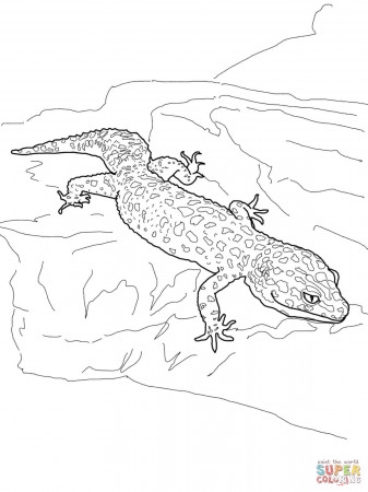 Leopard Gecko coloring page | Free Printable Coloring Pages