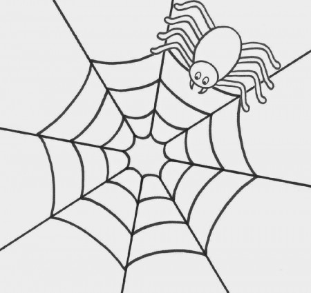 Spider Coloring Sheet | Free Coloring Sheet