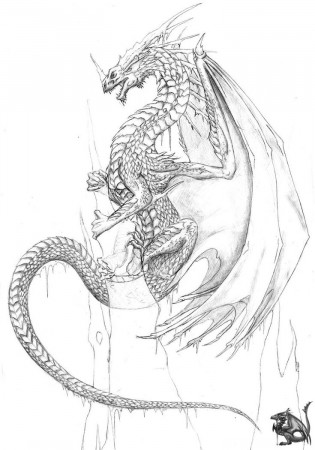 dragon head drawing - Google Search | Dragon coloring page, Star coloring  pages, Coloring pages